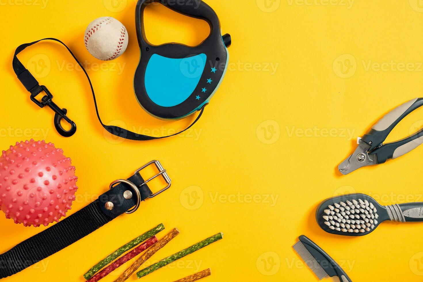 Dog accessories on yellow background. Top view. Pets and animals concept photo