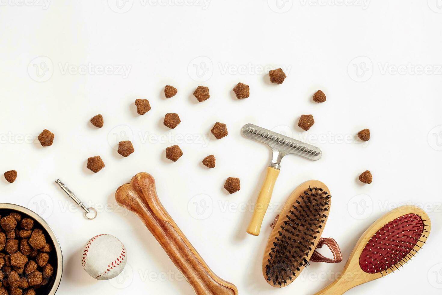 Bowl with food, combs and brushes for dogs. Isolated on white background photo