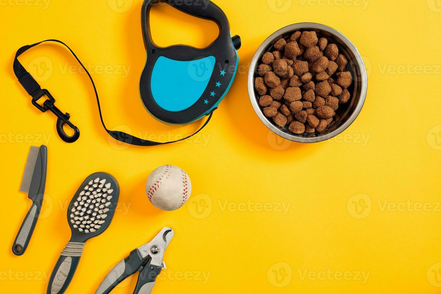 Dog accessories on yellow background. Top view. Pets and animals concept photo