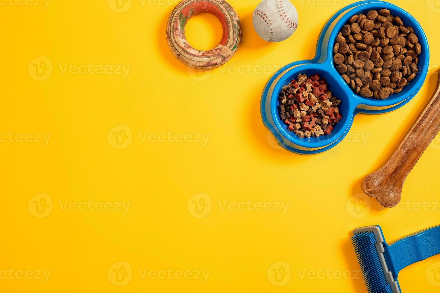 Pet accessories, food, toy. Top view photo