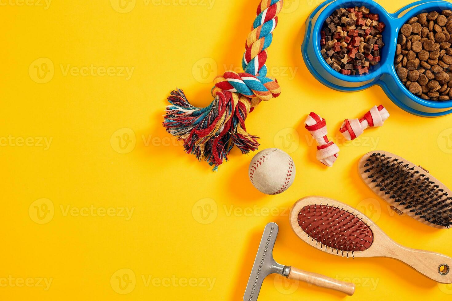 Accessories for the grooming of the dog. Combs and brushes for dogs. Top view photo