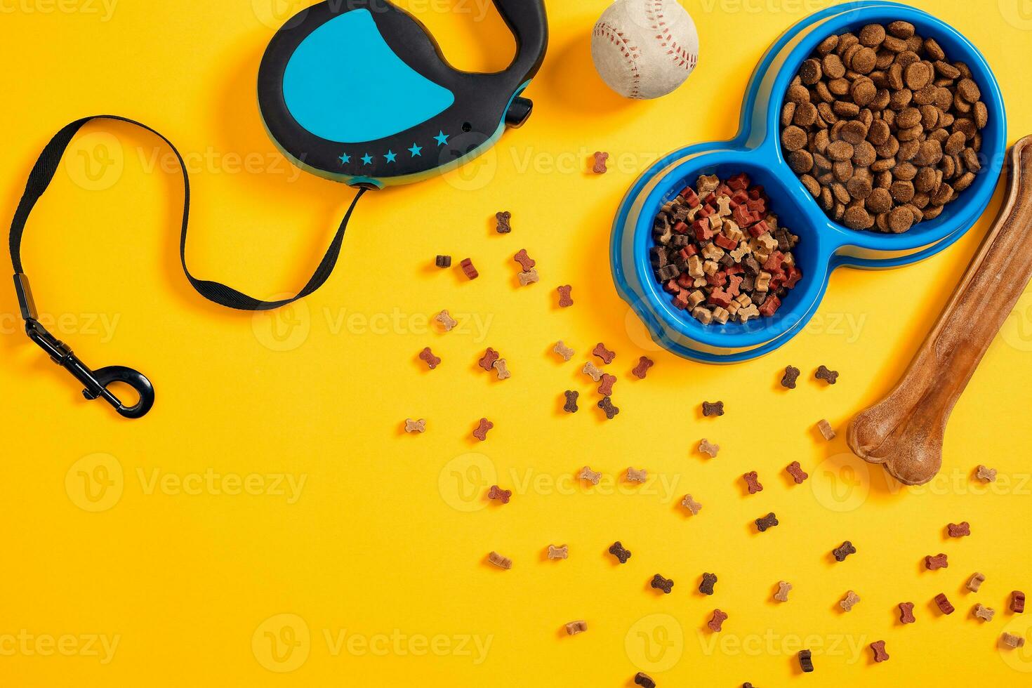 Pet accessories, food, toy. Top view photo