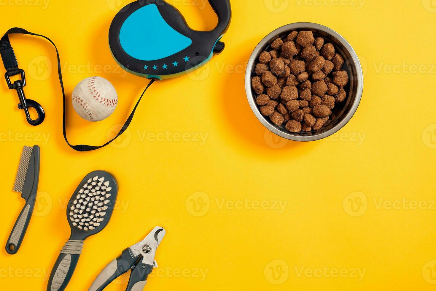 Dog accessories on yellow background. Top view. Pets and animals concept photo