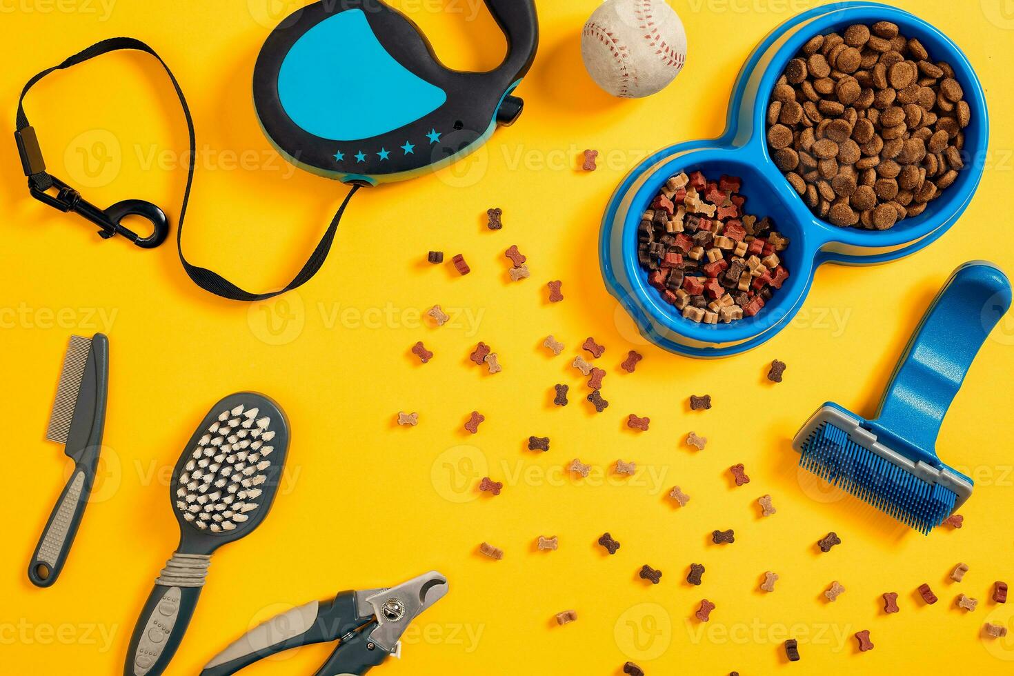 Dog accessories on yellow background. Top view. Pets and animals concept photo