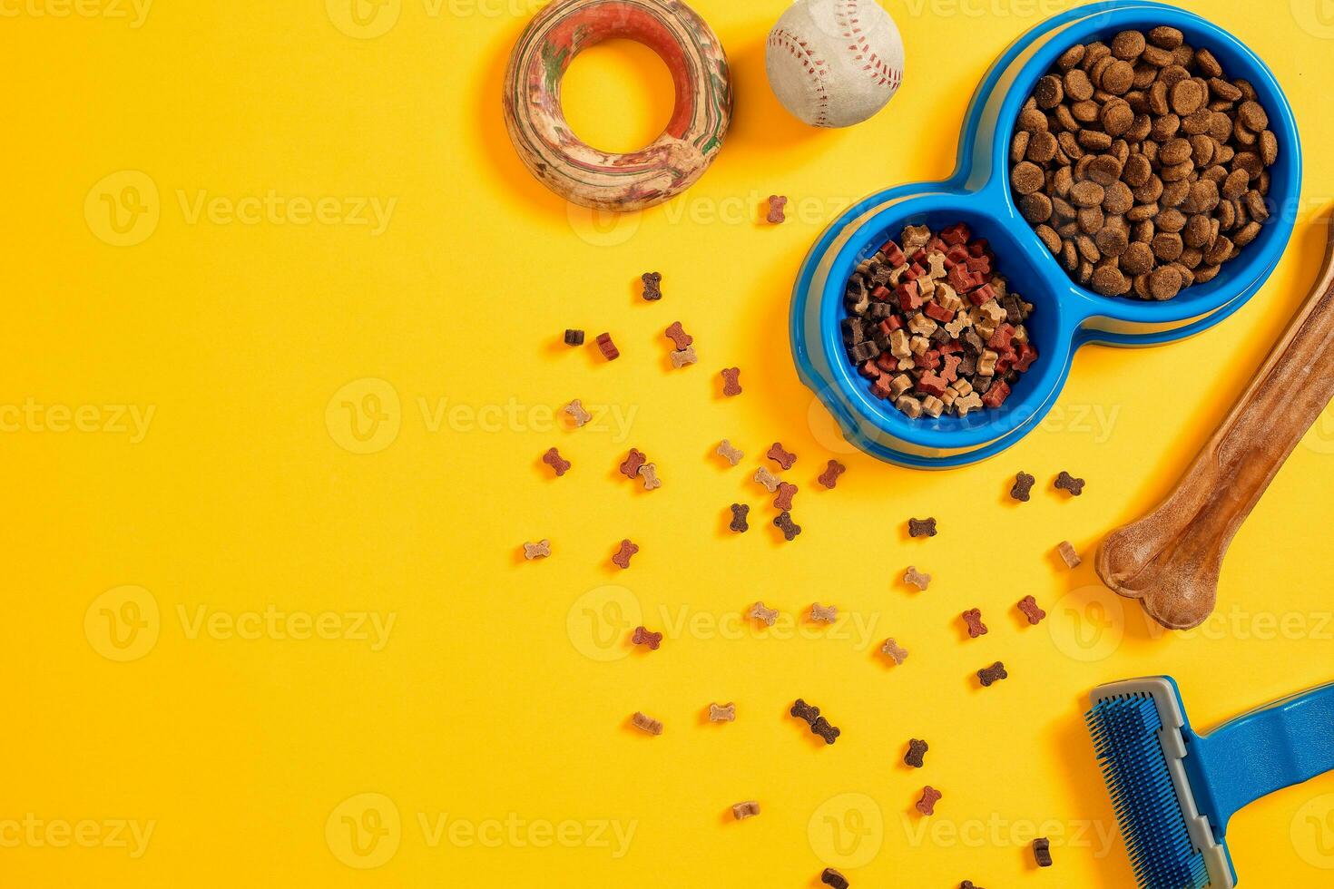 Pet accessories, food, toy. Top view photo