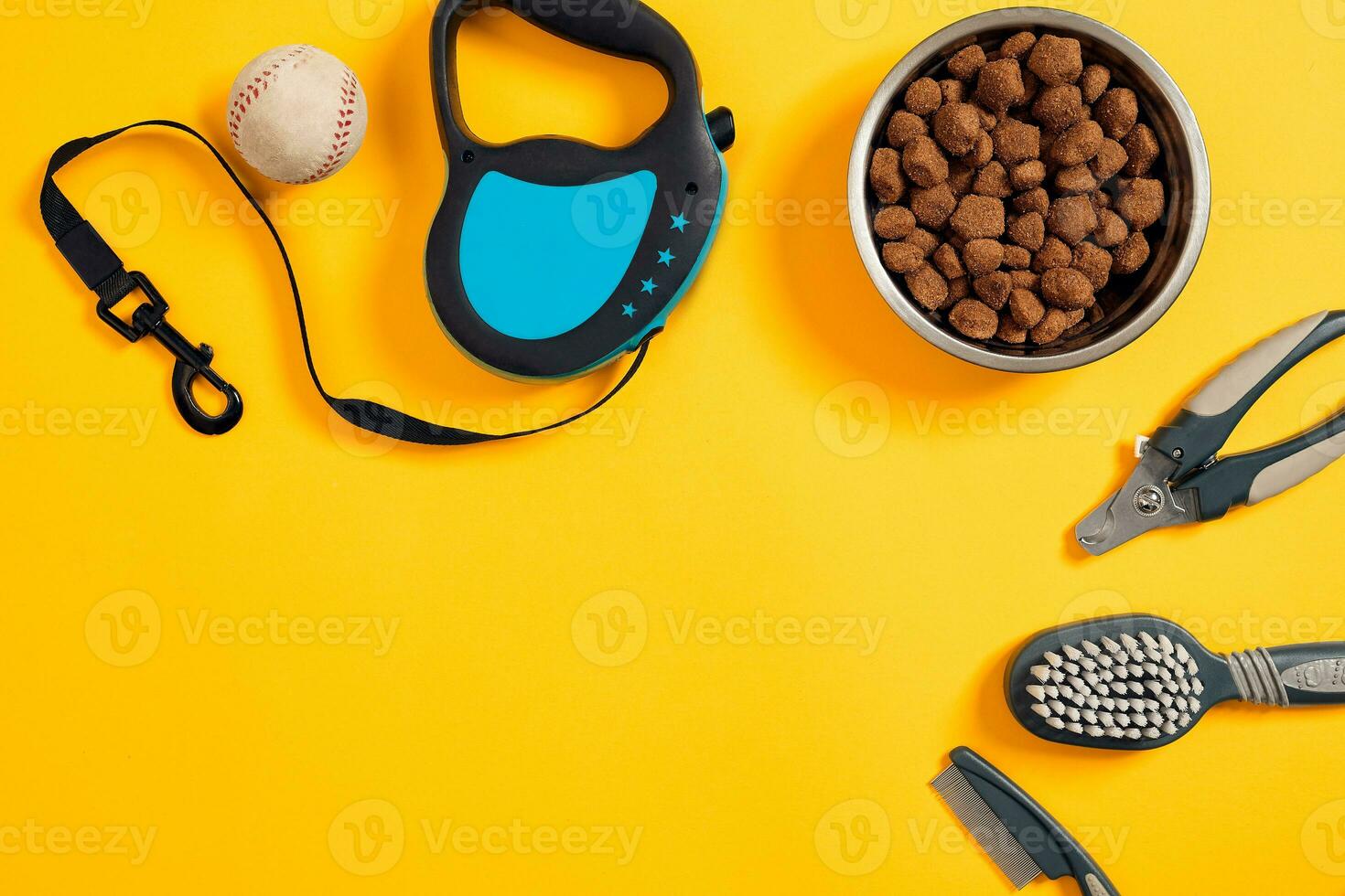 Dog accessories on yellow background. Top view. Pets and animals concept photo