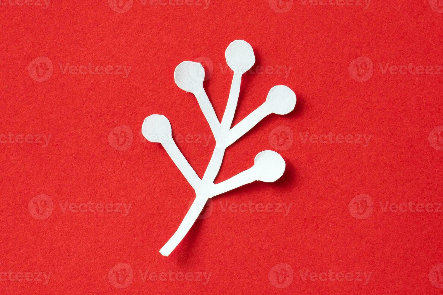 berry paper cut on red background photo