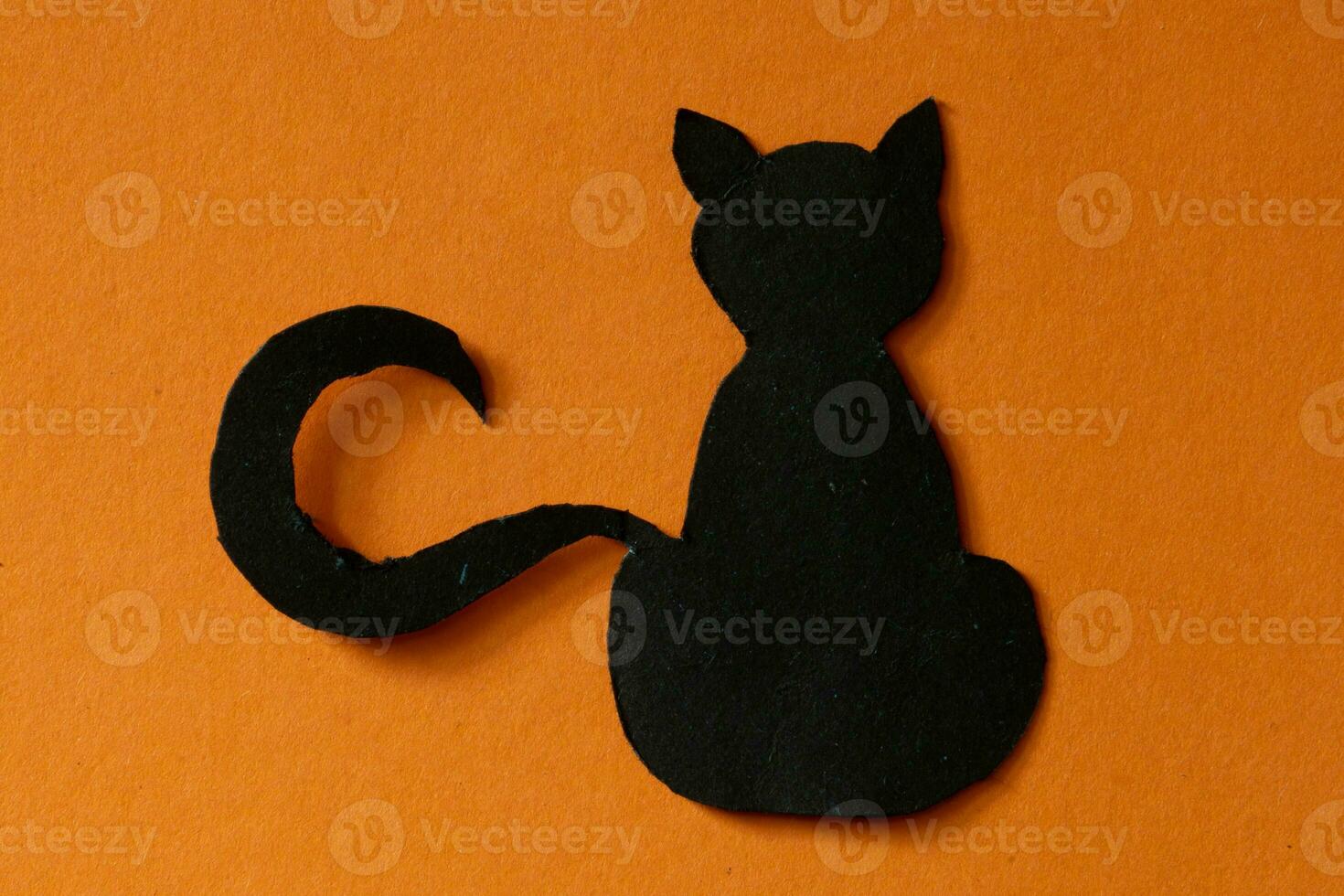 halloween black cat paper cut element photo