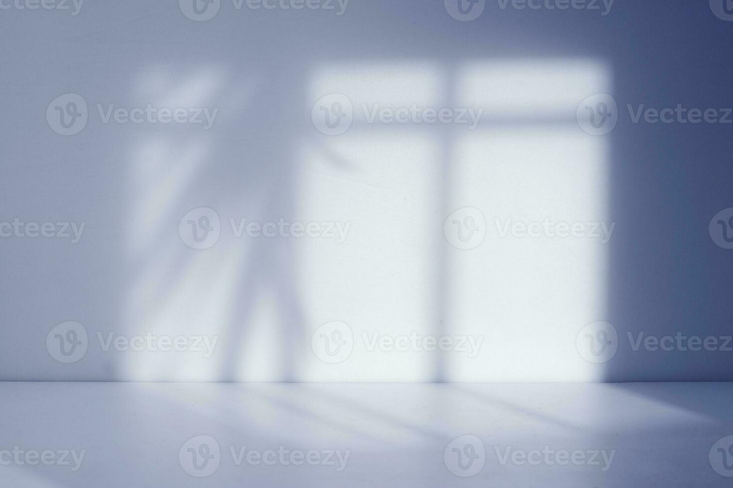 minimalist room with window and palm leaf shadow photo