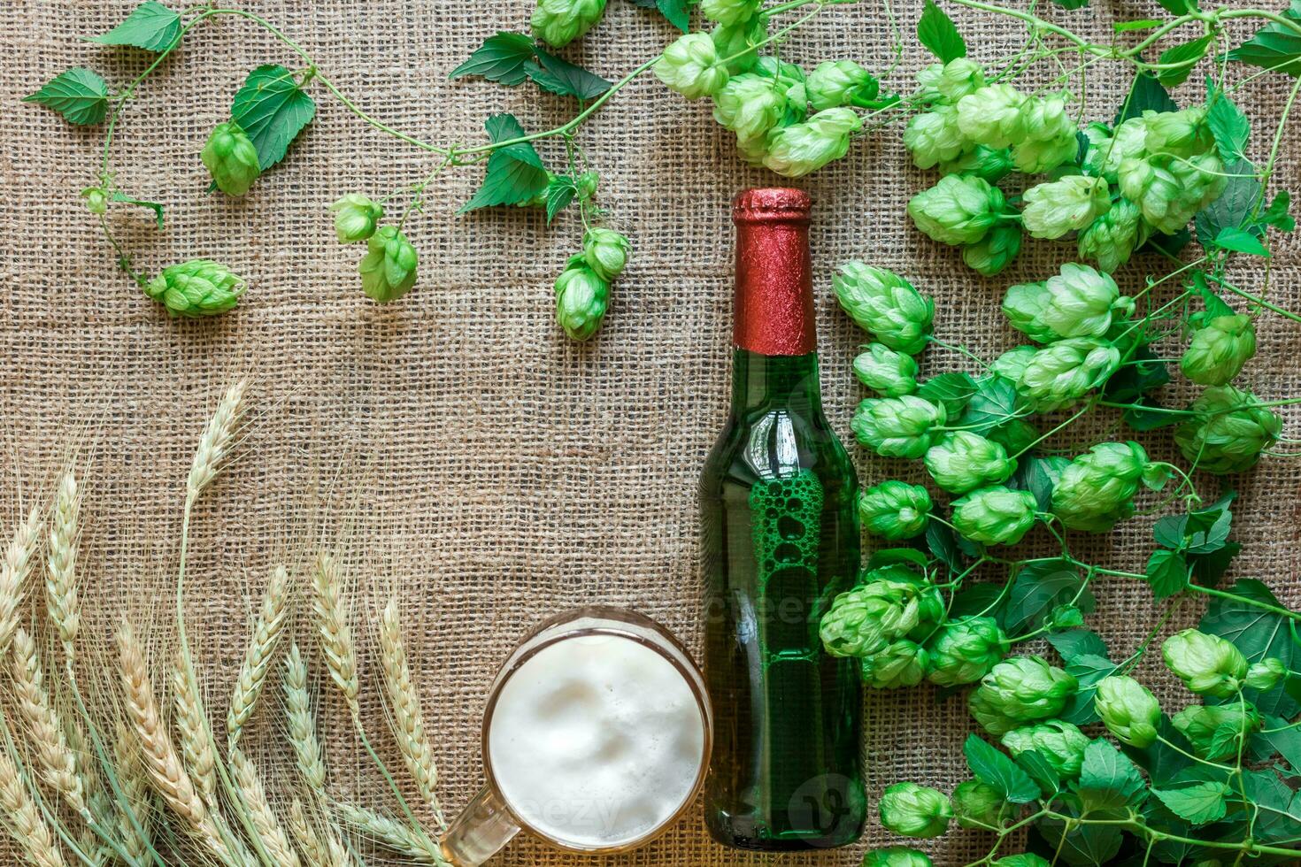 Bottle and Glass beer with Brewing ingredients. Hop flower with wheat. Top view. photo
