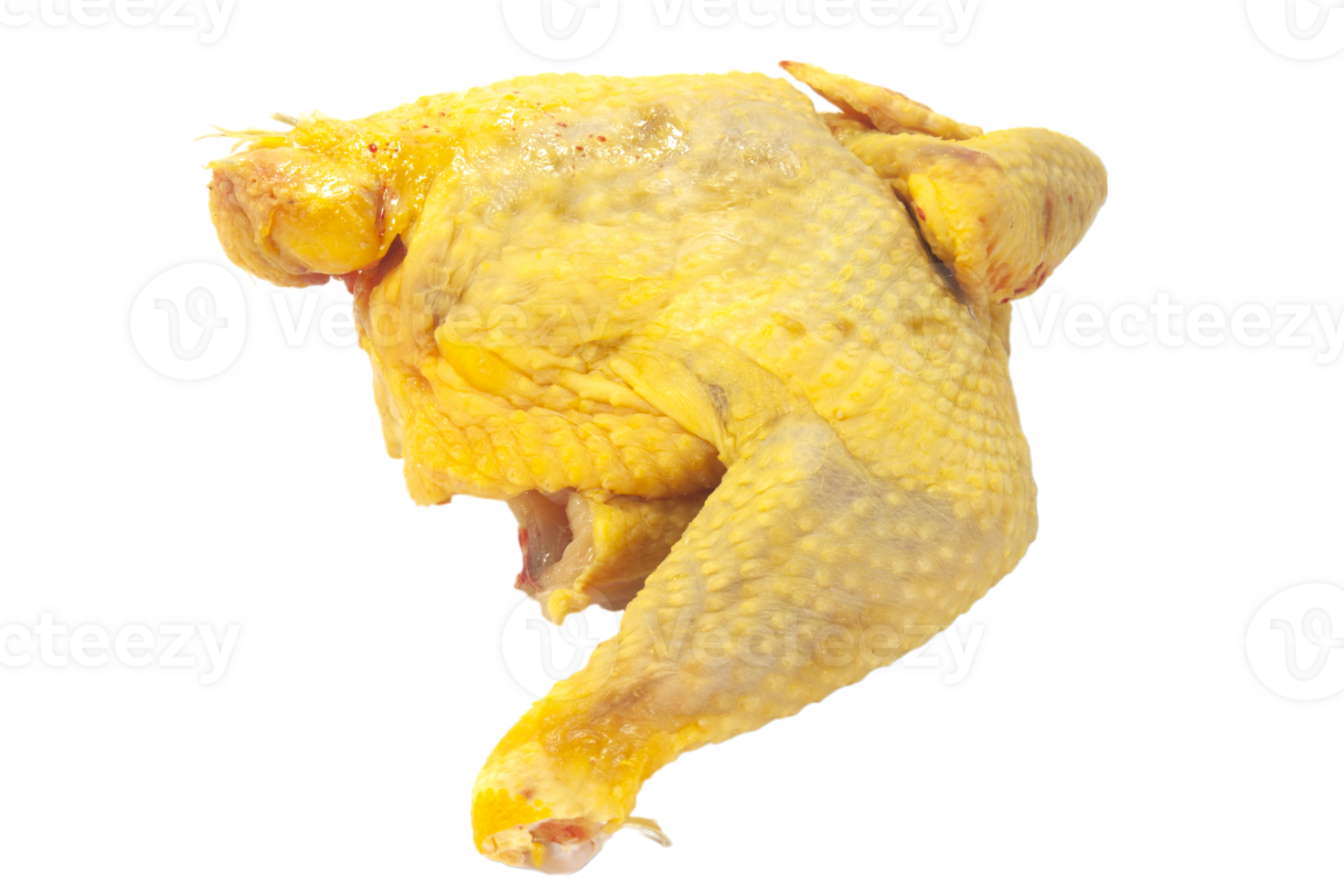 piece of capon png