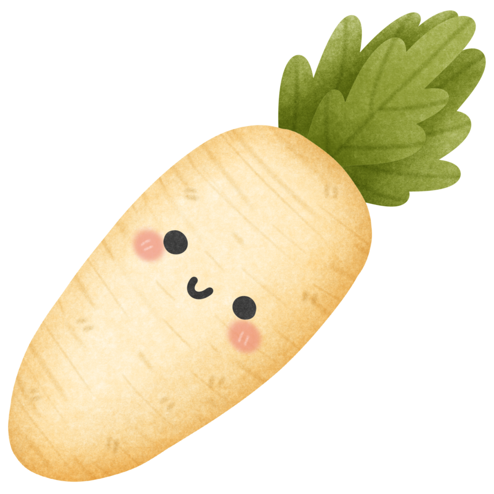 Isolated cute and happy smiling radish daikon vegetable character in transparent background png