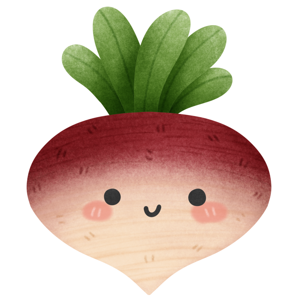 Isolated cute and happy smiling turnip vegetable character in transparent background png