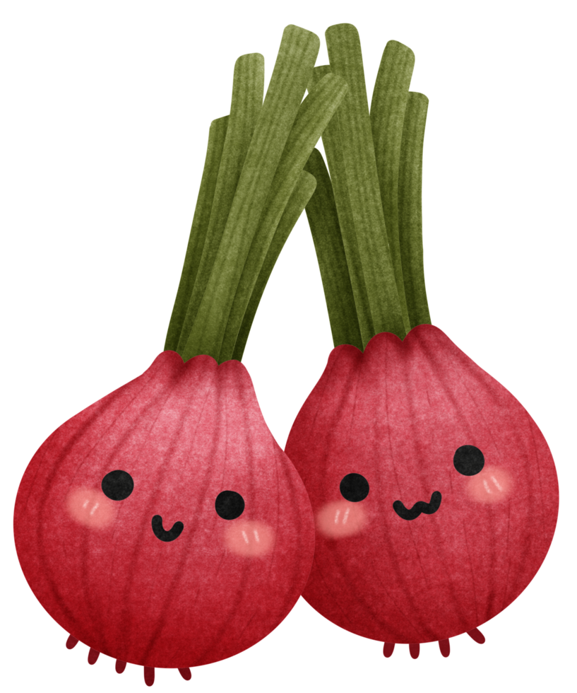 Isolated cute and happy smiling red onion vegetable character in transparent background png
