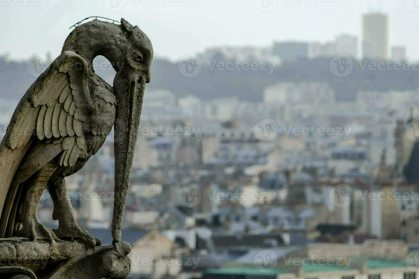Ornate bird sculpture - France 2022 photo