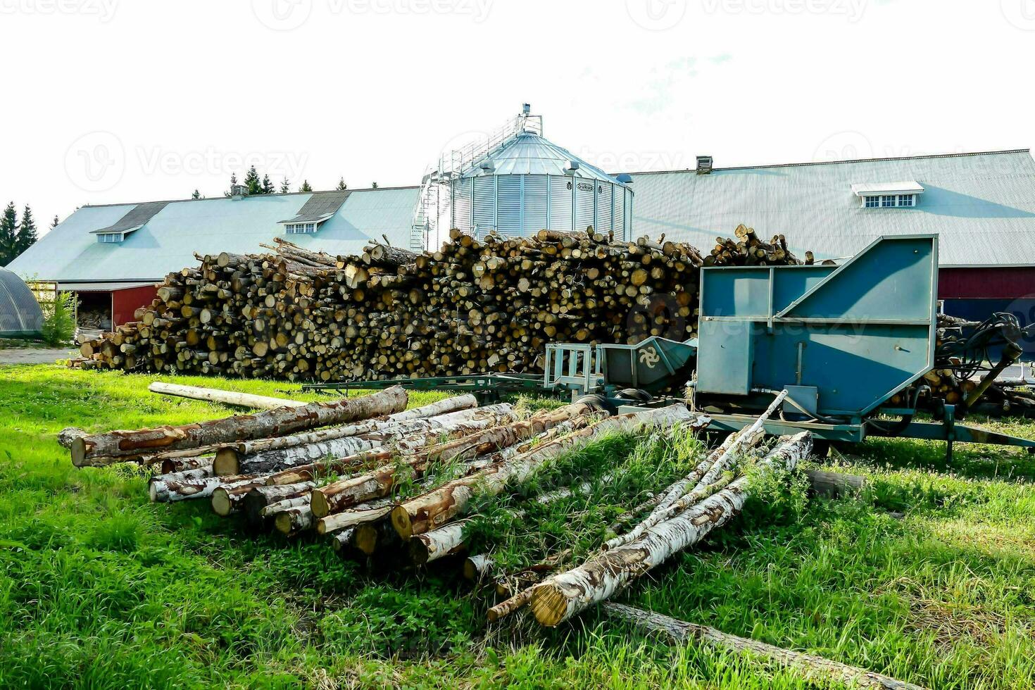 pila de Tablas de madera - Suecia 2022 foto