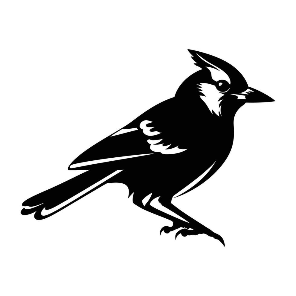 Black silhouette of a Blue jay vector illustration