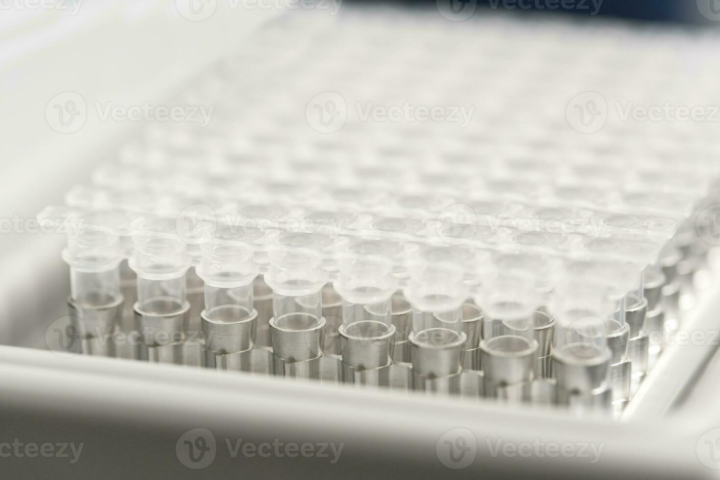 A set of glass tubes for samples. Laboratory chemical equipment. photo