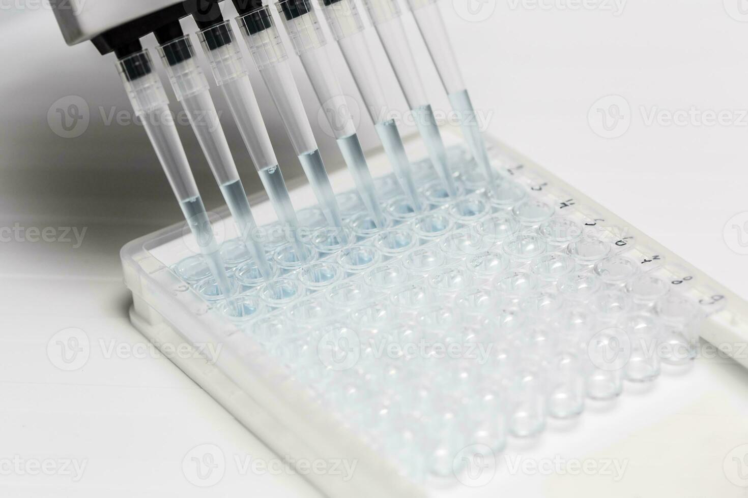 Pipette depositing samples into a 96 well micro-plate photo