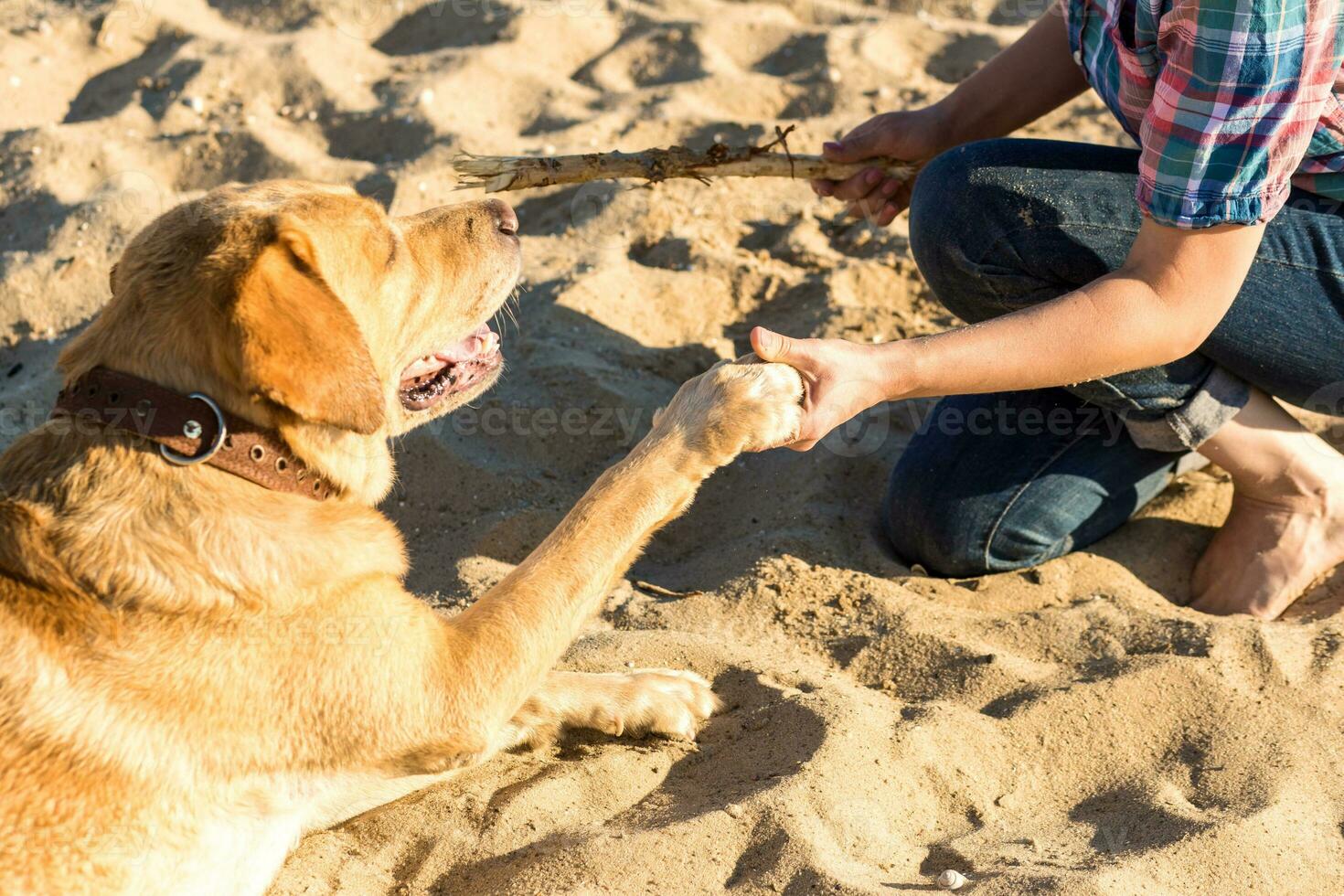 Portrait of young beautiful woman in sunglasses sitting on sand beach with golden retriever dog. Girl with dog by sea. photo