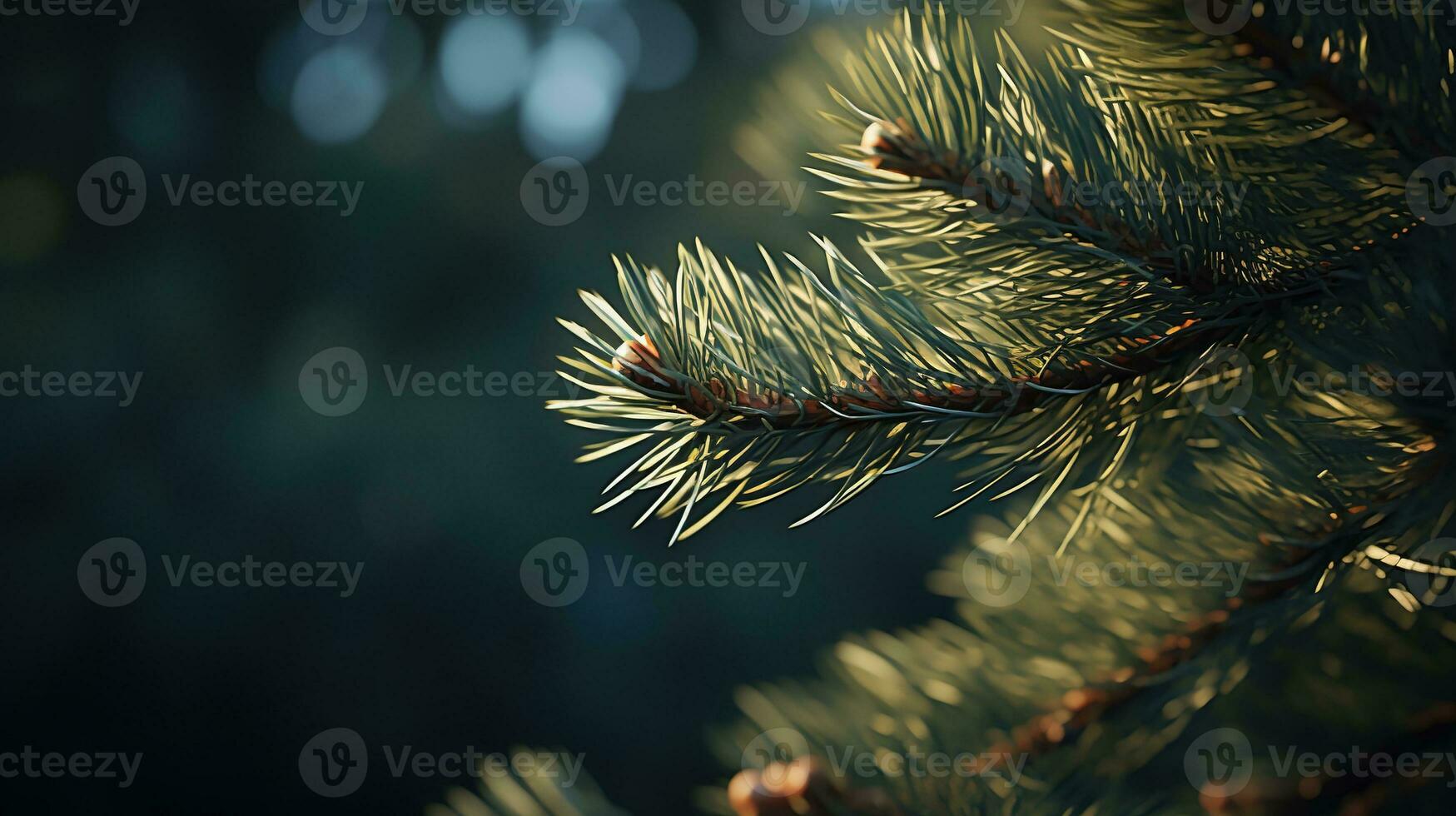 Macro Photo of Christmas Tree