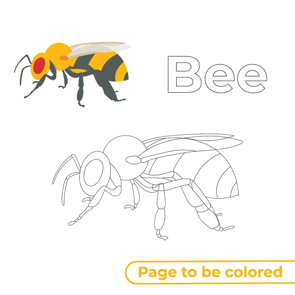 Bee Coloring Page for Kids vector