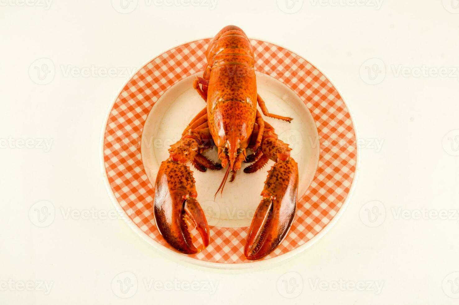 a lobster on a plate with a checkered pattern photo