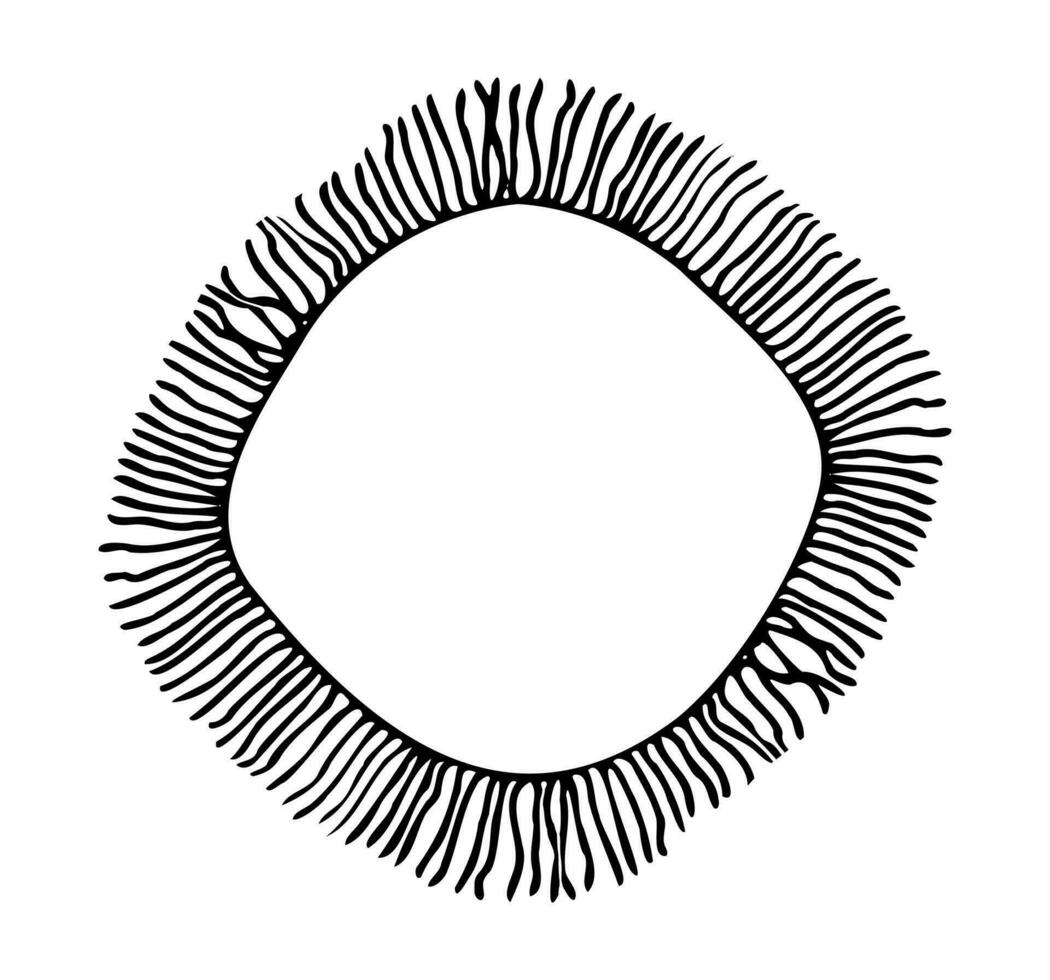 round frame in boho style with fringed doodle black color silhouette vector