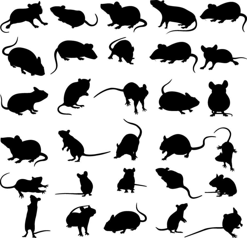 Set of rat and mouse silhouettes vector