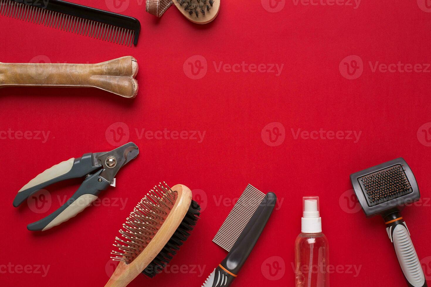 Pet accessories on red background. Top view photo