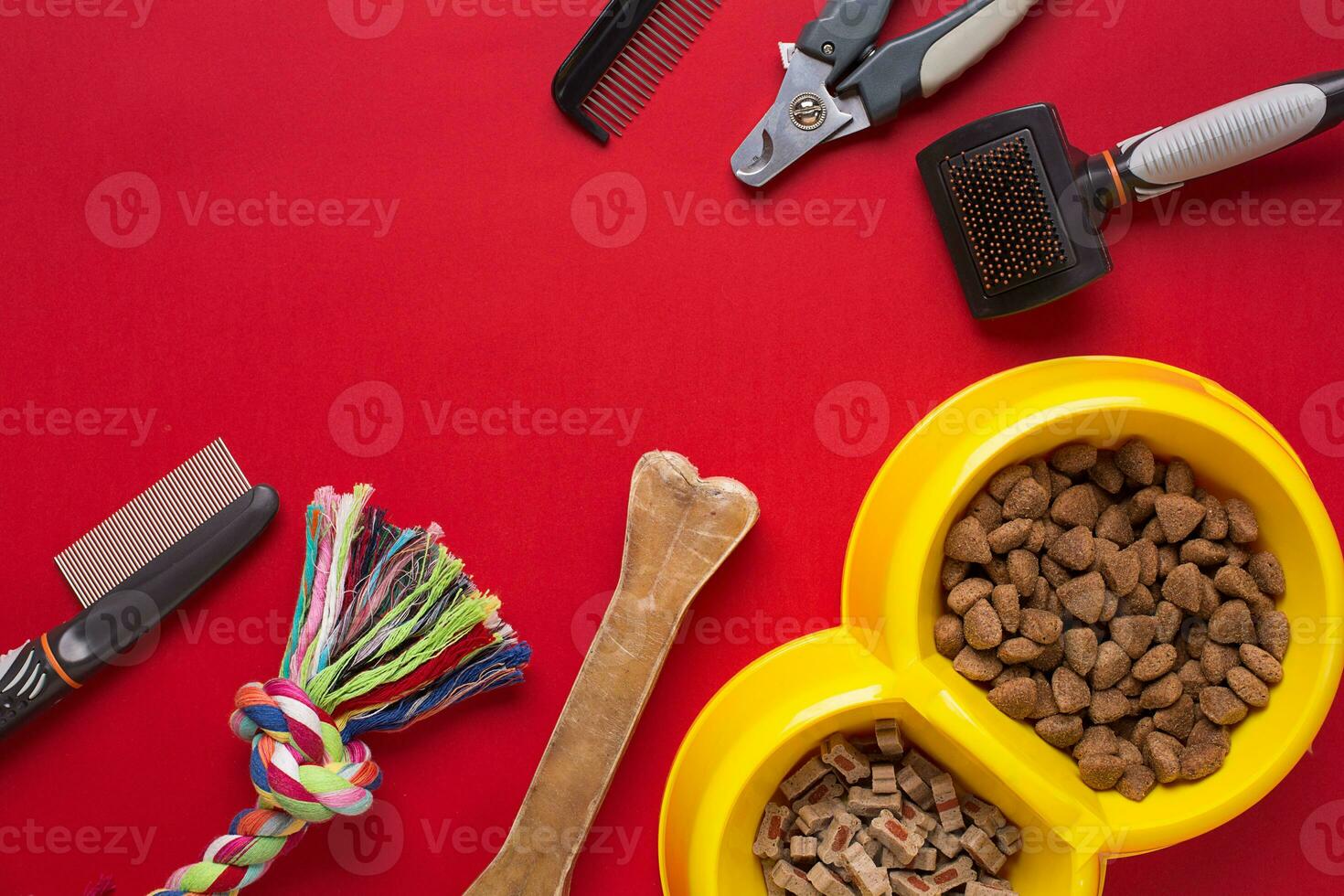 Pet accessories on red background. Top view photo
