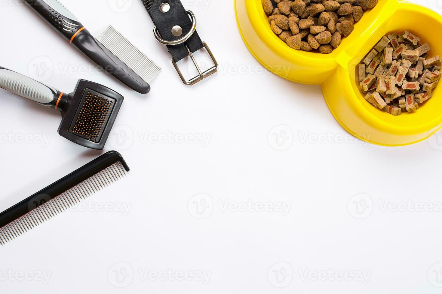 Collar, bowl with feed, leash, delicacy, combs and brushes for dogs. Isolated on white background photo