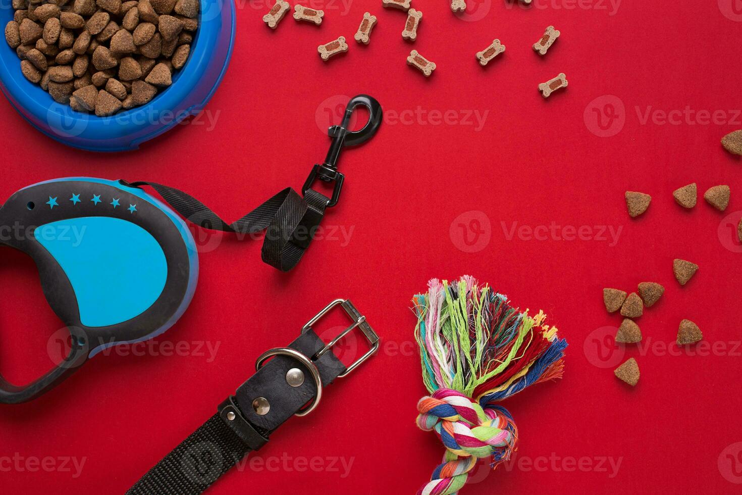Pet accessories on red background. Top view photo