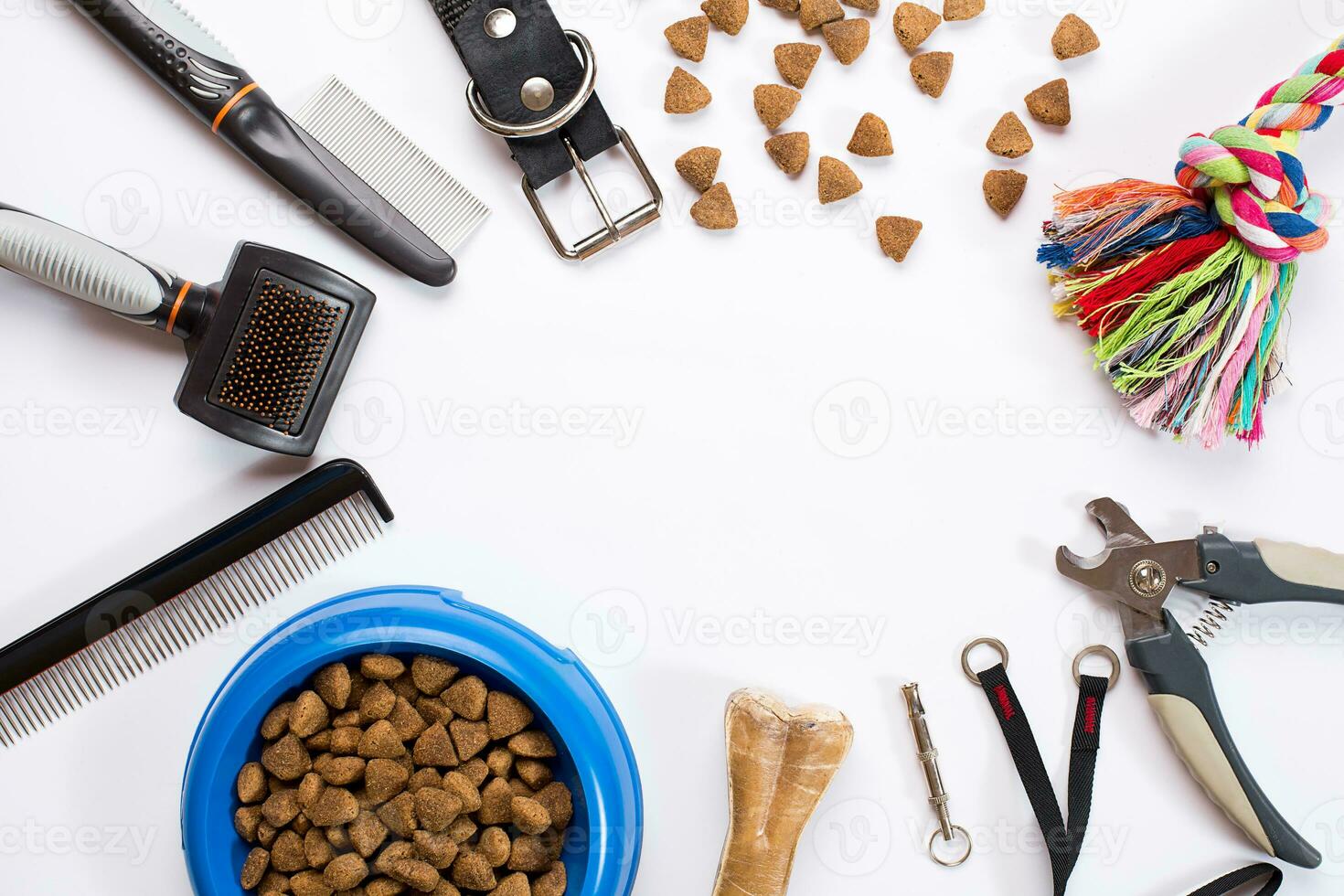 Collar, bowl with feed, leash, delicacy, combs and brushes for dogs. Isolated on white background photo