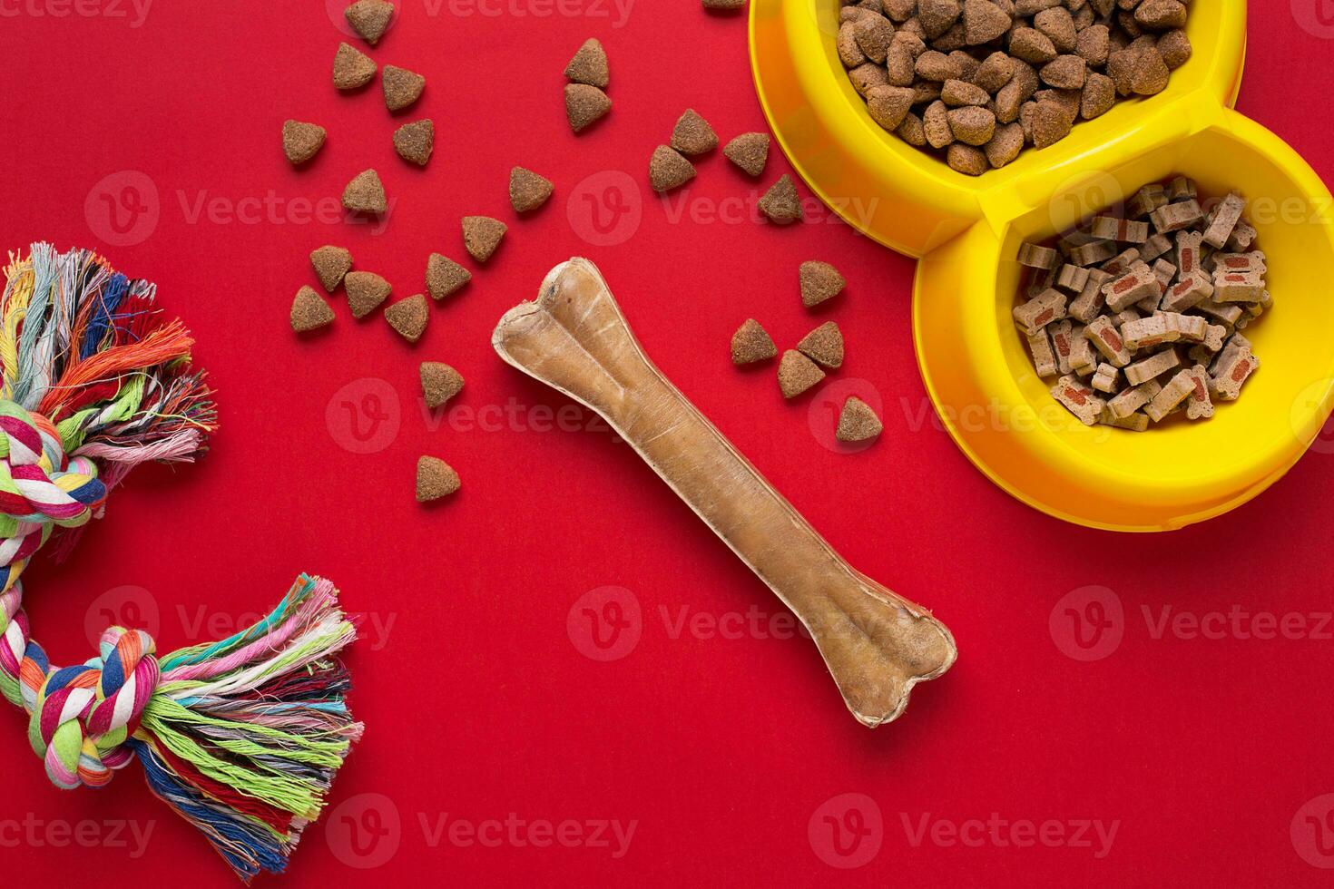 Pet accessories on red background. Top view photo