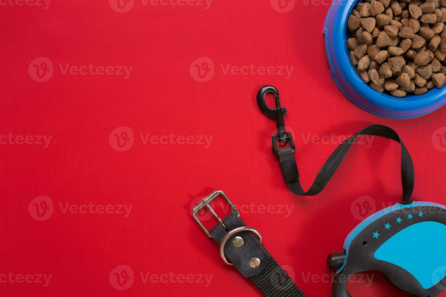 Collar, blue bowl with feed, leash and delicacy for dogs. Isolated on red background photo