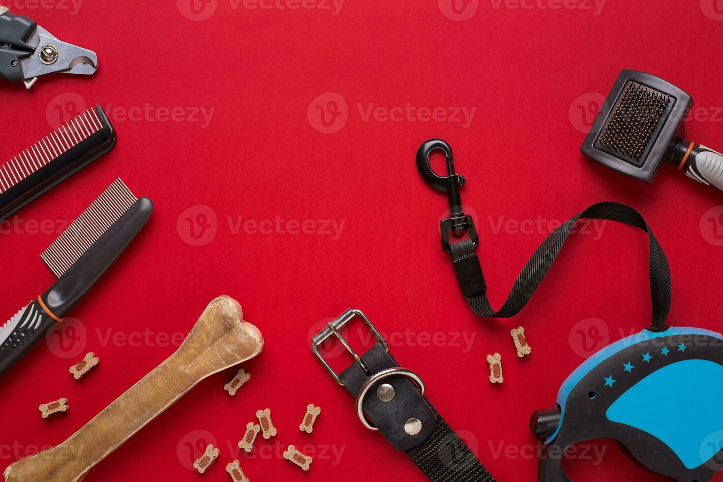 Collar, bowl with feed, leash, delicacy, combs and brushes for dogs. Isolated on red background photo