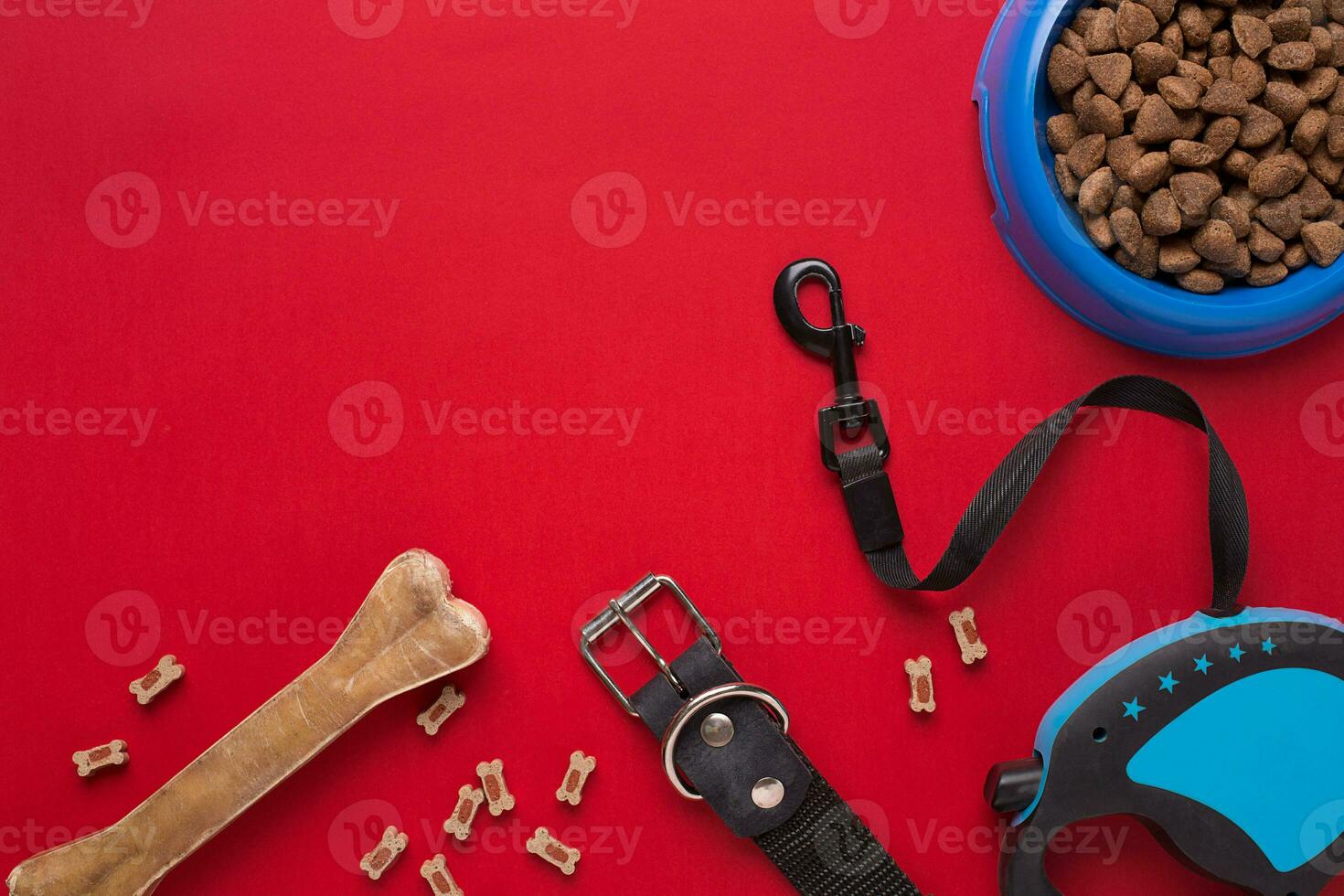 Collar, blue bowl with feed, leash and delicacy for dogs. Isolated on red background photo