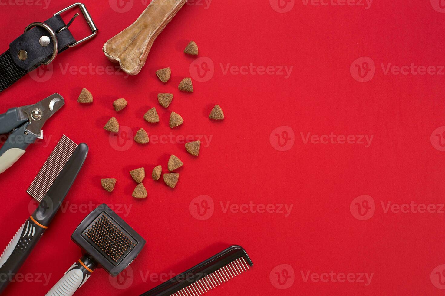 Acessories for the grooming of the dog. Combs and brushes for dogs. Top view photo
