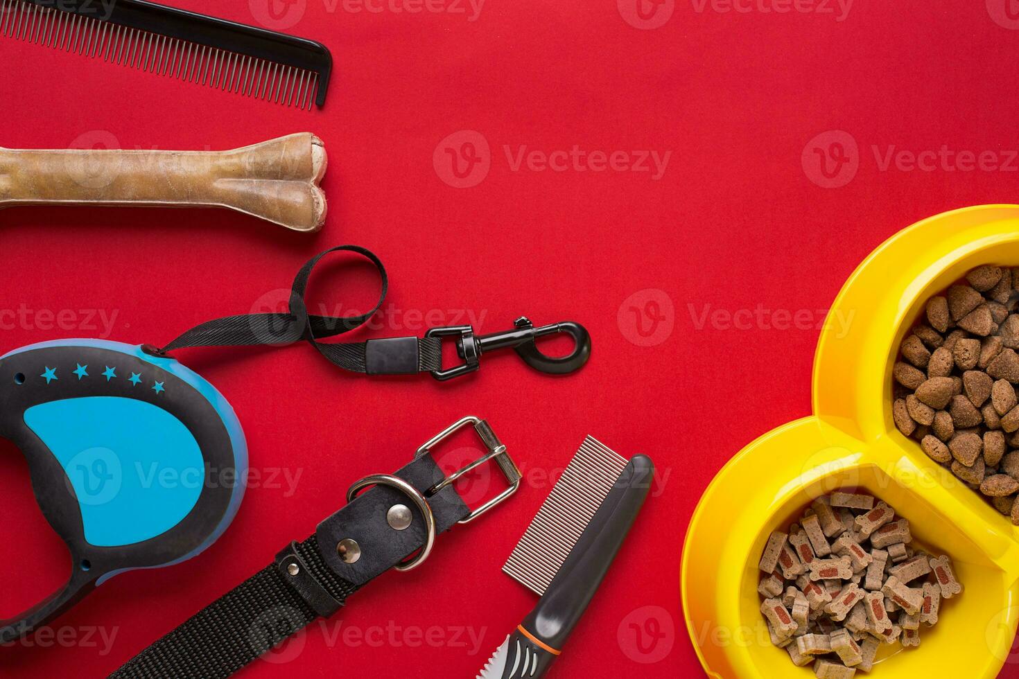 Pet accessories on red background. Top view photo