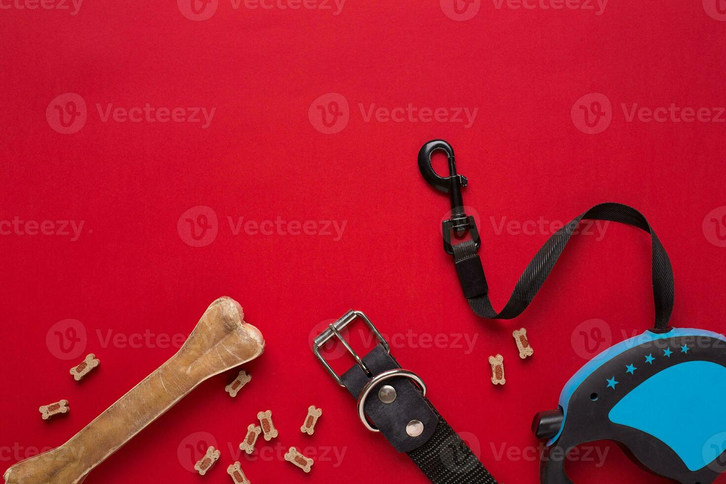 Collar, blue bowl with feed, leash and delicacy for dogs. Isolated on red background photo