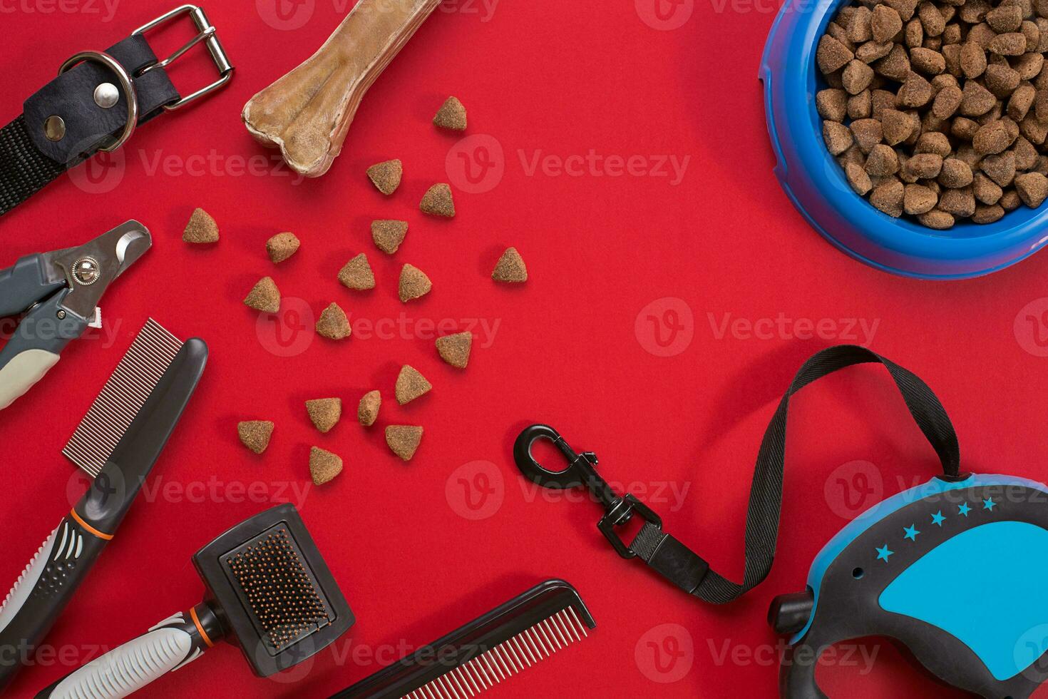 Collar, bowl with feed, leash, delicacy, combs and brushes for dogs. Isolated on red background photo