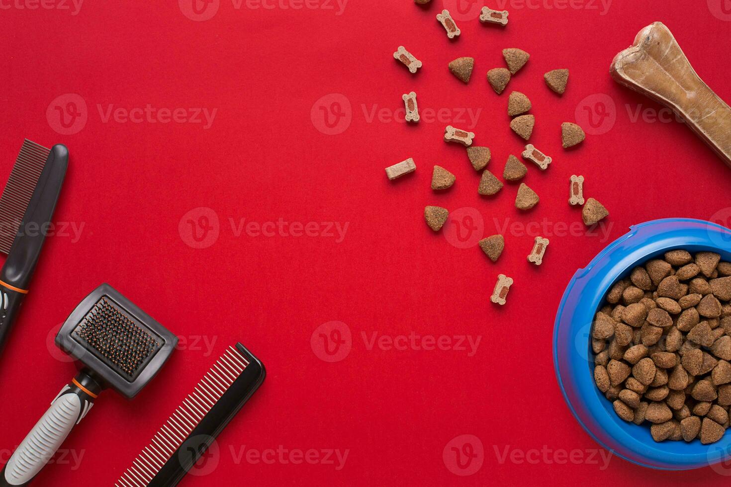 Pet accessories on red background. Top view photo