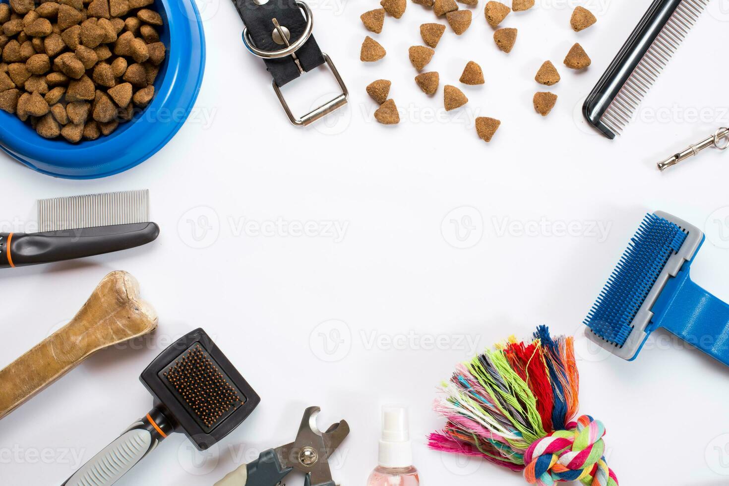 Collar, bowl with feed, leash, delicacy, combs and brushes for dogs. Isolated on white background photo