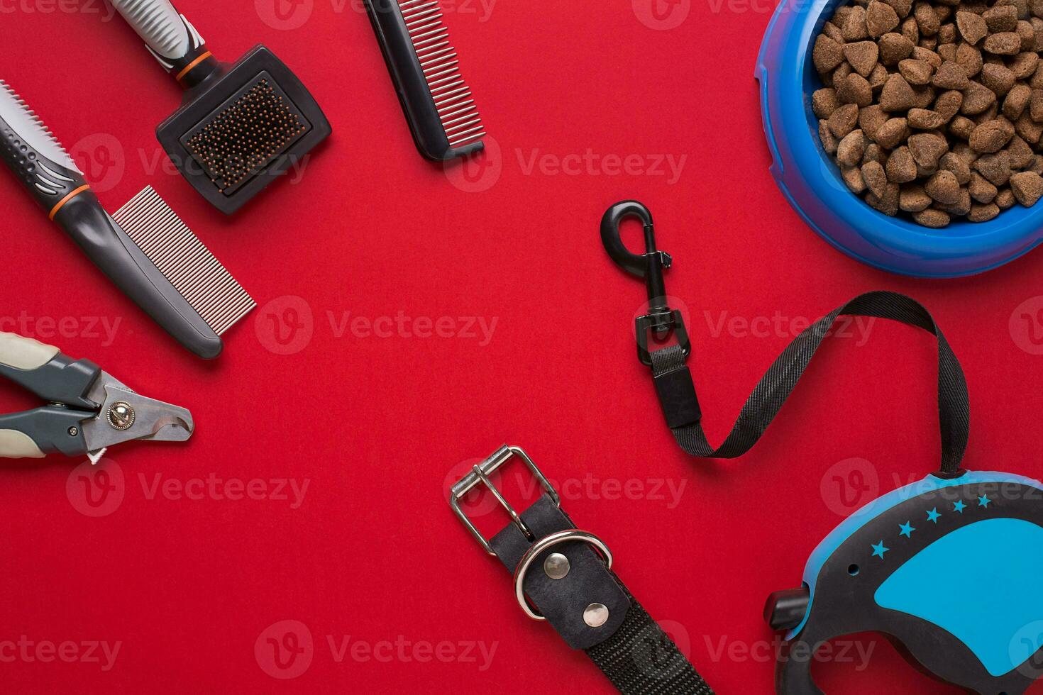 Collar, bowl with feed, leash, delicacy, combs and brushes for dogs. Isolated on red background photo