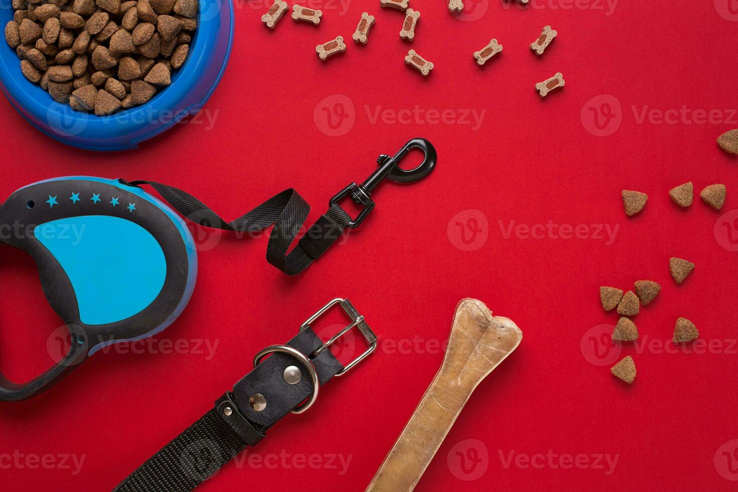 Pet accessories on red background. Top view photo