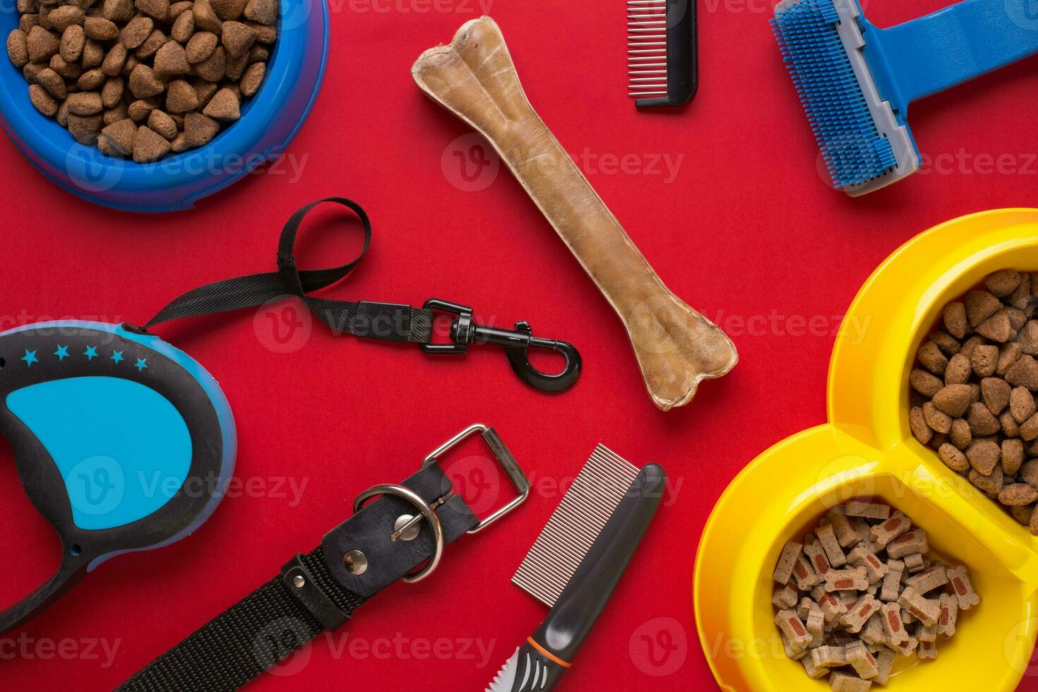 Pet accessories on red background. Top view photo