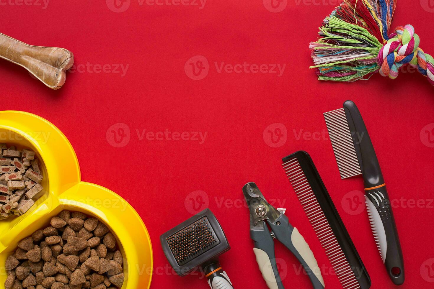 Pet accessories on red background. Top view photo