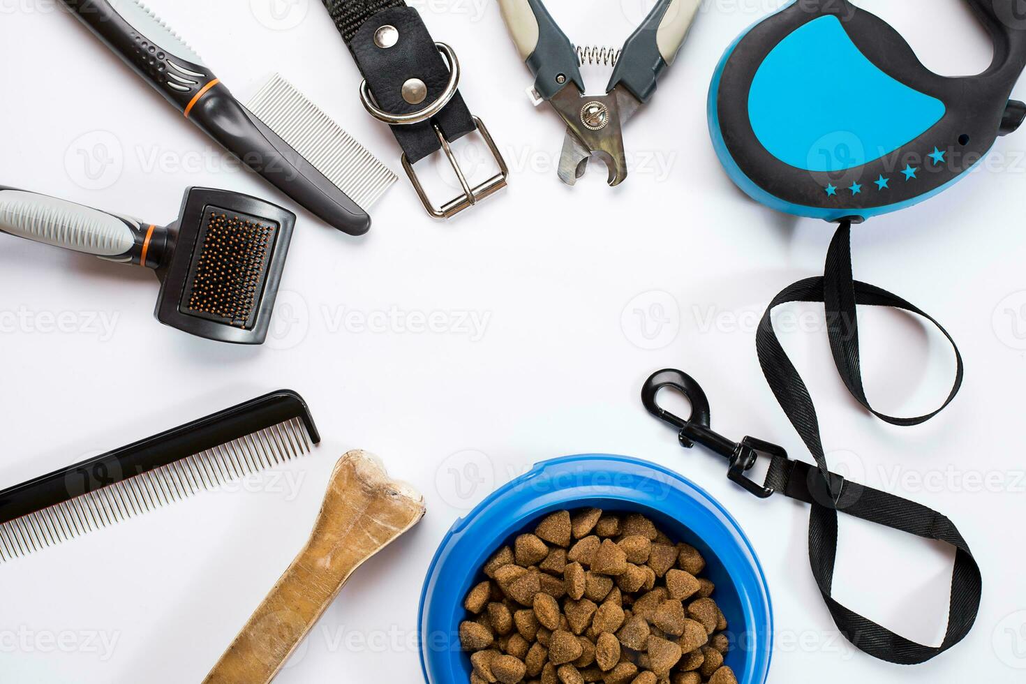 Collar, bowl with feed, leash, delicacy, combs and brushes for dogs. Isolated on white background photo