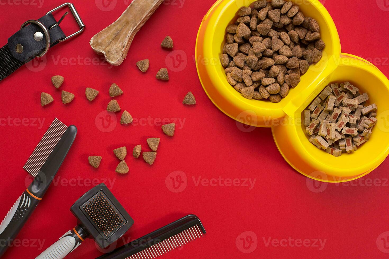 Acessories for the grooming of the dog. Combs and brushes for dogs. Top view photo